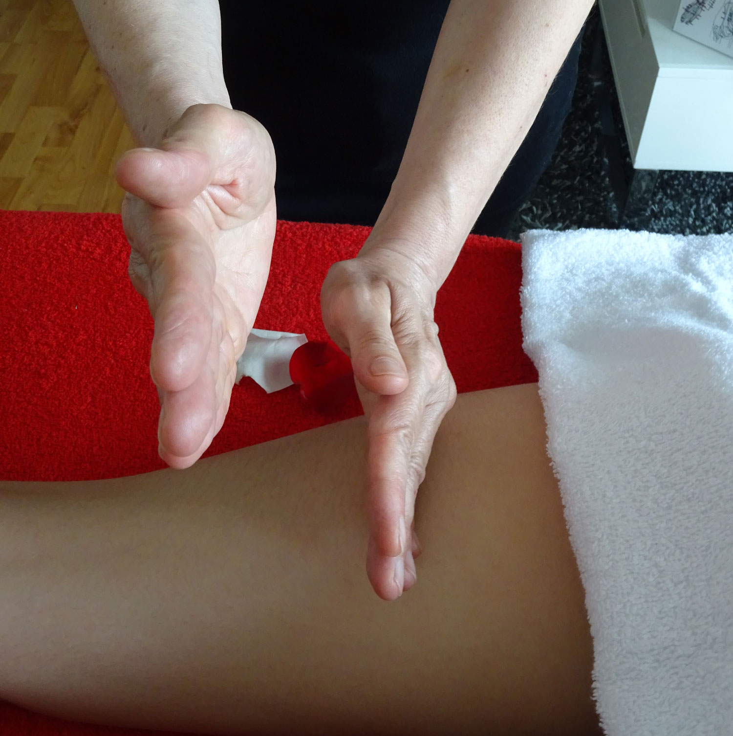 Massage chinois Tui Na - Brigitte Griffon 6-Chinois